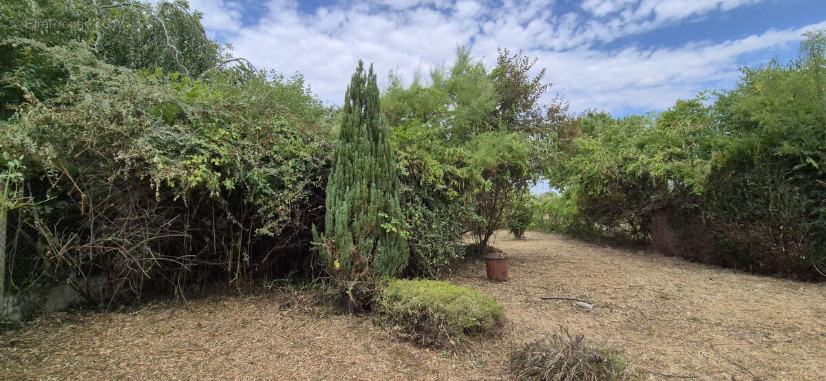 Maison à CLERY-SAINT-ANDRE