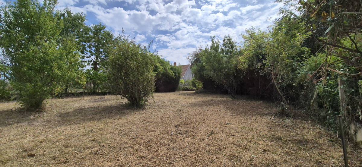 Maison à CLERY-SAINT-ANDRE