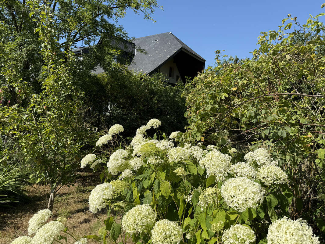 Maison à SAINT-VALERY-EN-CAUX