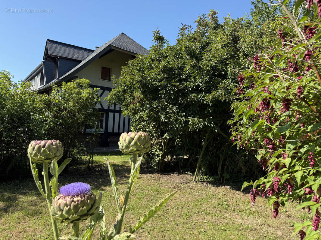 Maison à SAINT-VALERY-EN-CAUX