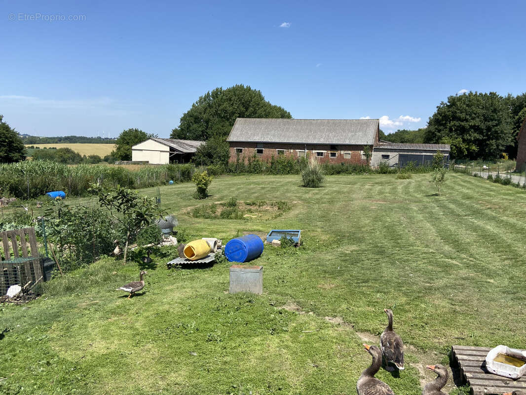 Maison à AVESNES-LE-COMTE