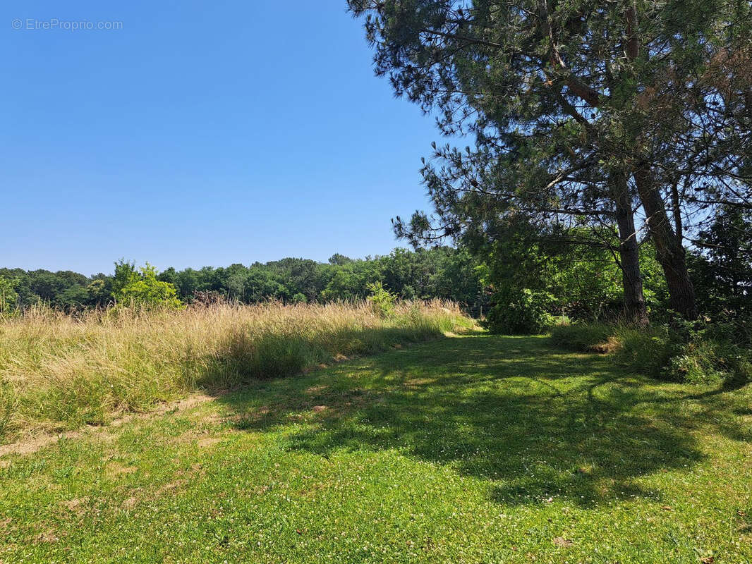 Maison à SAUVETERRE-DE-GUYENNE