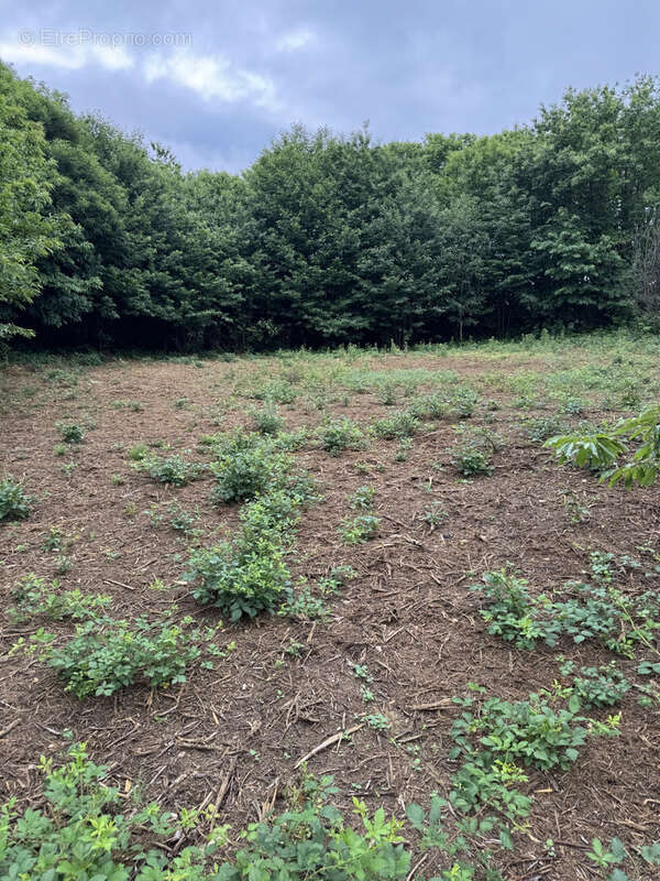 Terrain à LA CHAPELLE-AUBAREIL