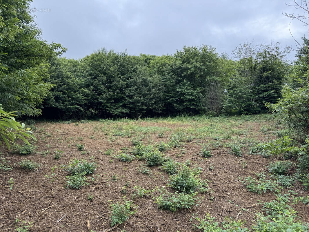 Terrain à LA CHAPELLE-AUBAREIL