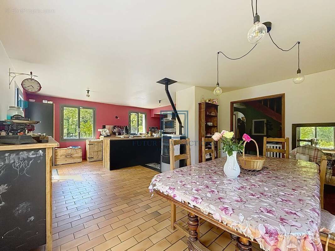 Maison à DANNEMARIE