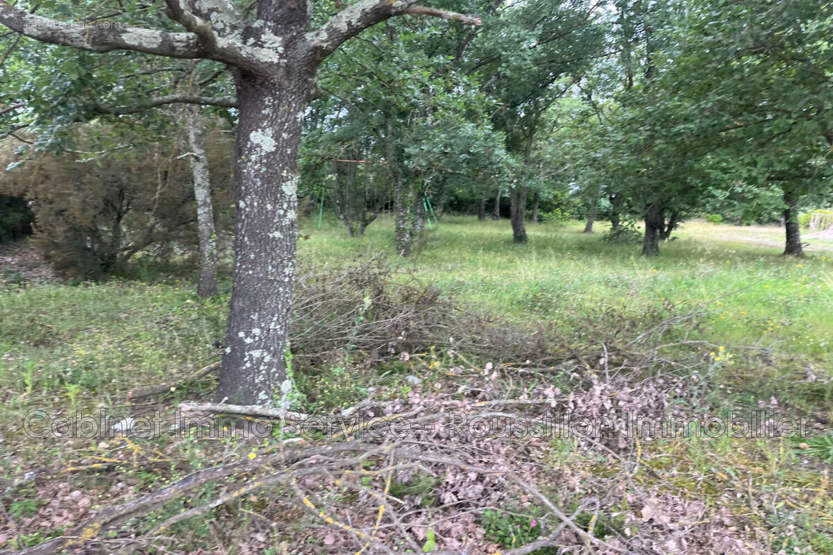 Terrain à MAUREILLAS-LAS-ILLAS