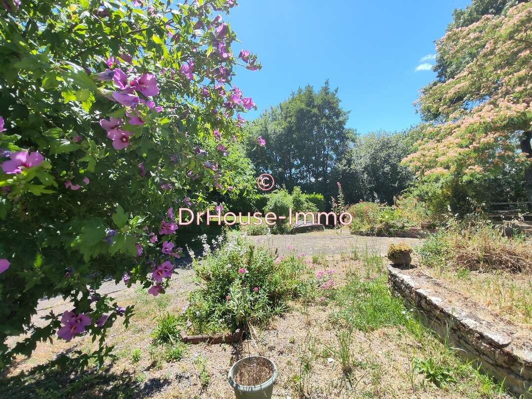 Maison à LA TAILLEE