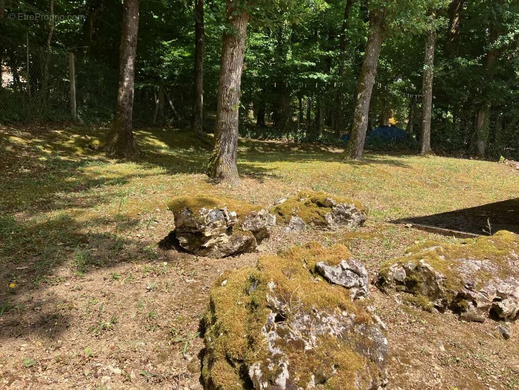 Maison à LA MEMBROLLE-SUR-CHOISILLE