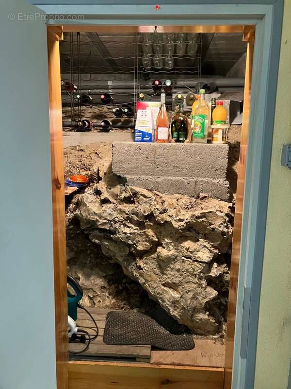 Maison à LA MEMBROLLE-SUR-CHOISILLE