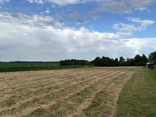Terrain à VILLARS-EN-PONS