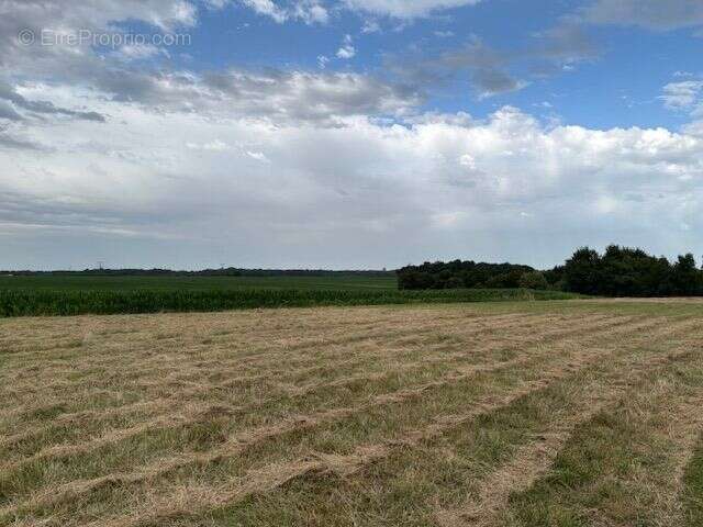 Terrain à VILLARS-EN-PONS