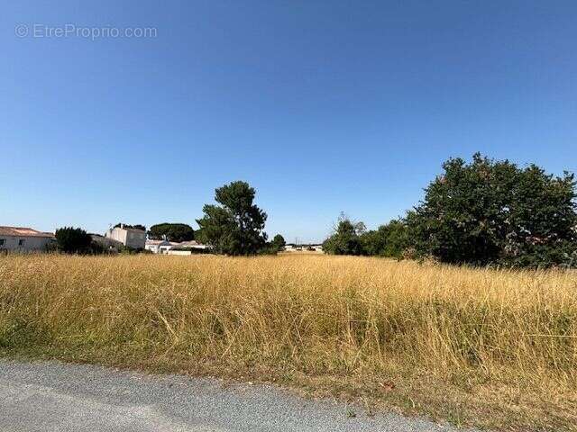 Terrain à SAINT-AUGUSTIN