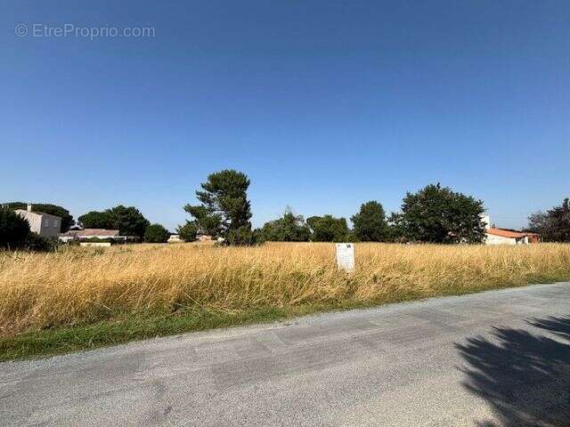 Terrain à SAINT-AUGUSTIN