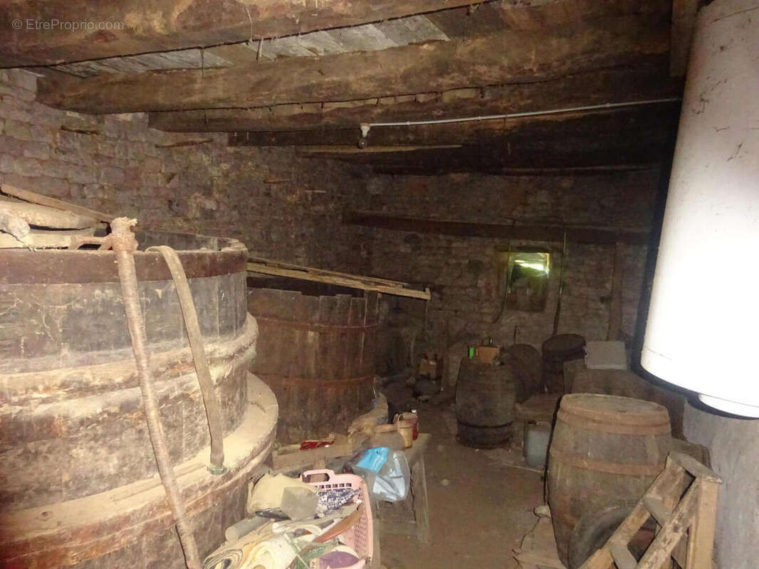 cave maison - Maison à ARCAMBAL