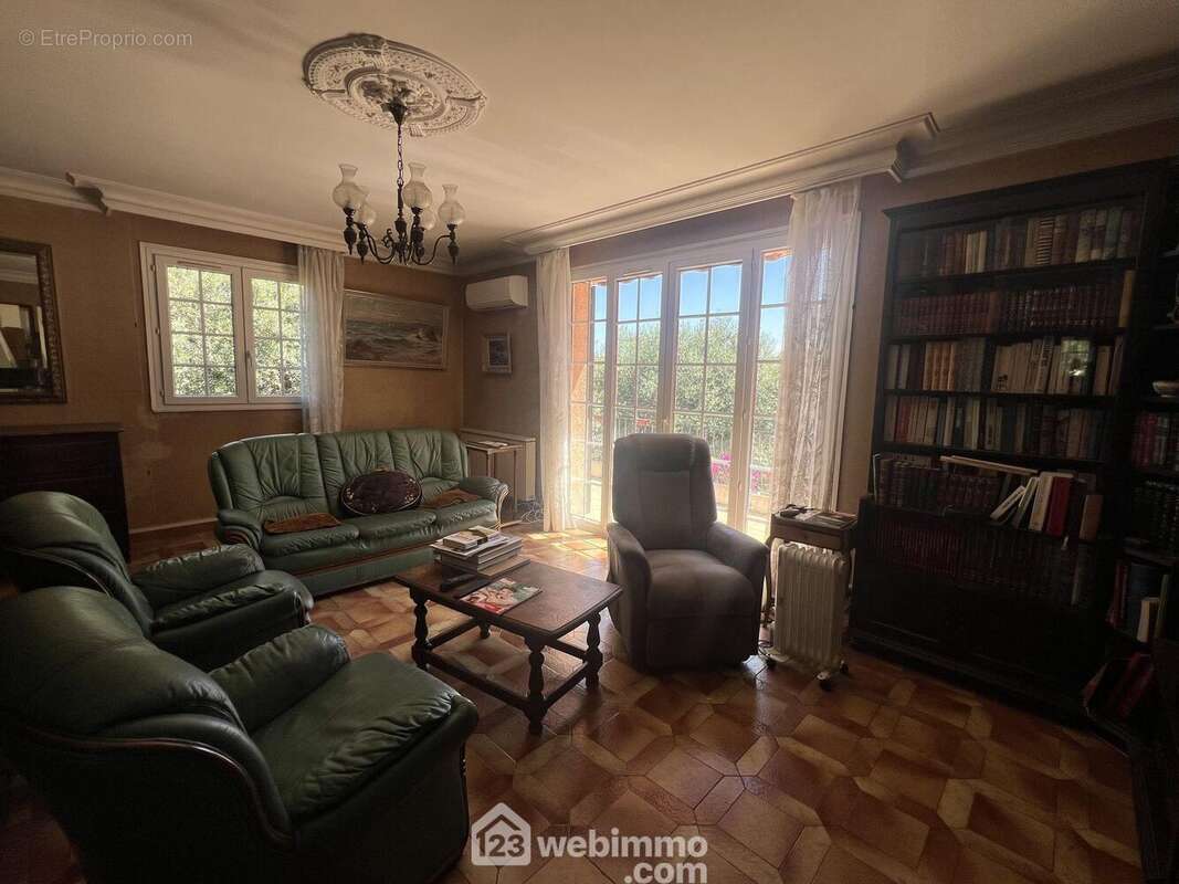 Le salon cheminée... - Maison à SAN-MARTINO-DI-LOTA