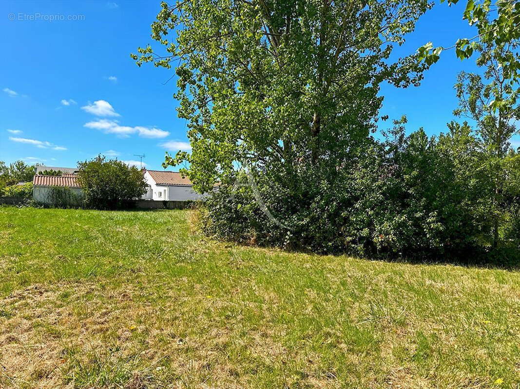 Terrain à LE PERRIER