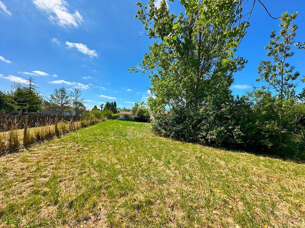 Terrain à LE PERRIER