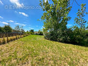 Terrain à LE PERRIER