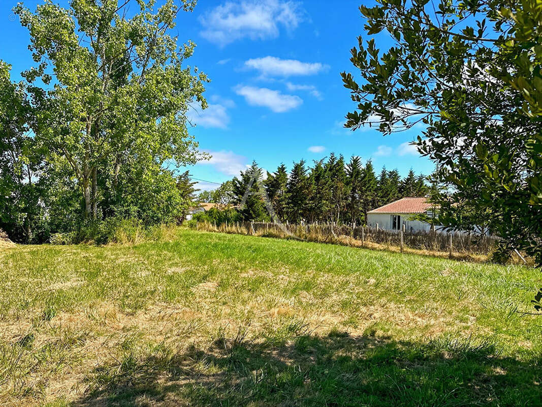 Terrain à LE PERRIER