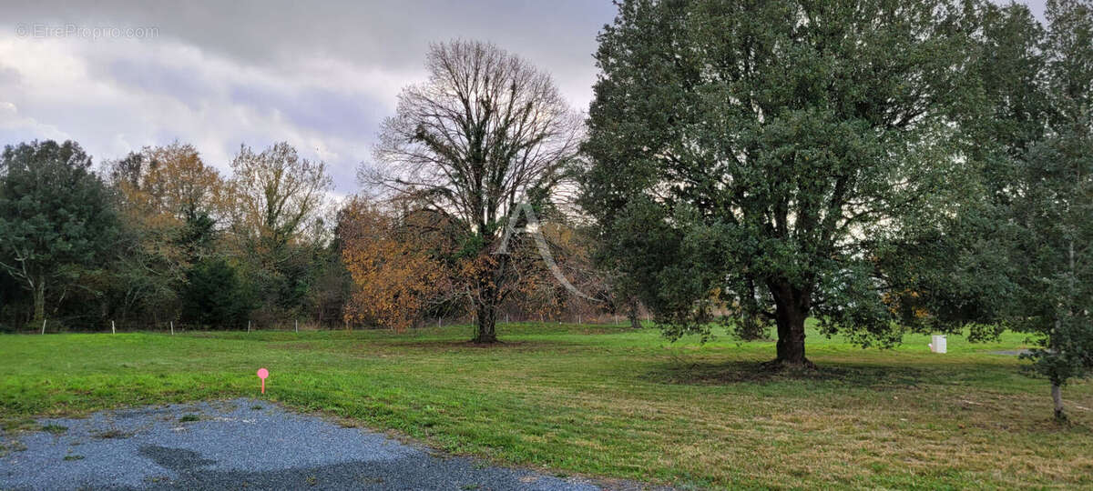 Terrain à SAINT-VAIZE