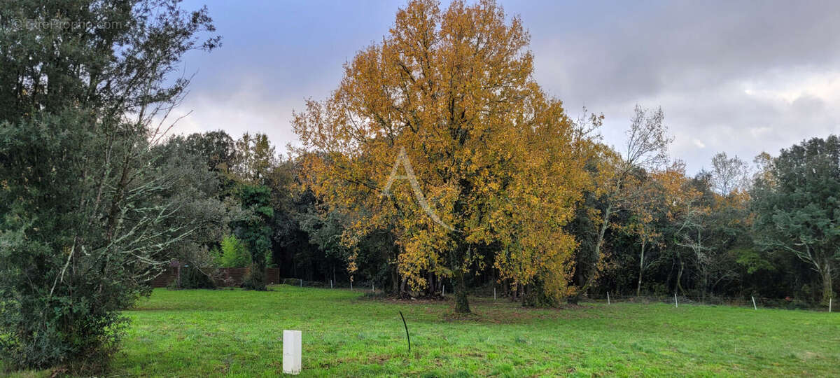 Terrain à SAINT-VAIZE