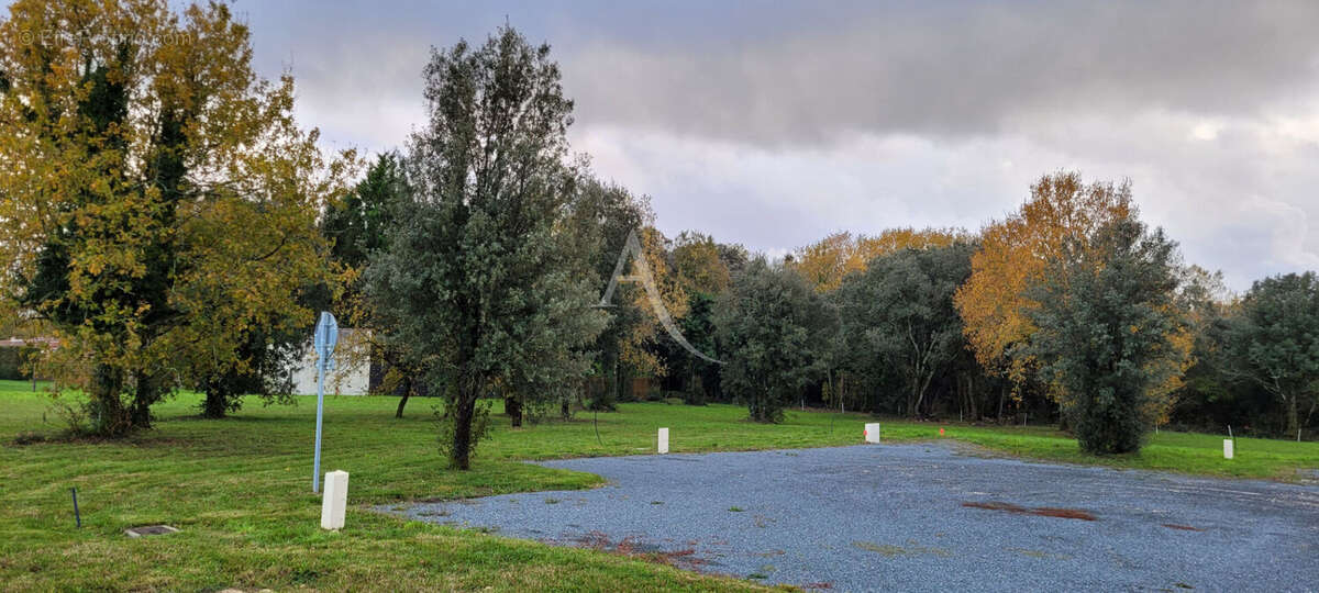 Terrain à SAINT-VAIZE