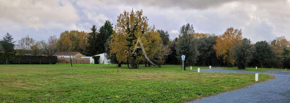 Terrain à SAINT-VAIZE