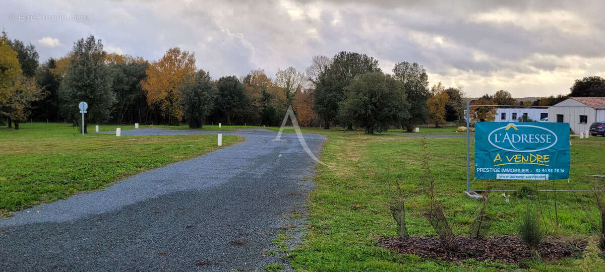 Terrain à SAINT-VAIZE