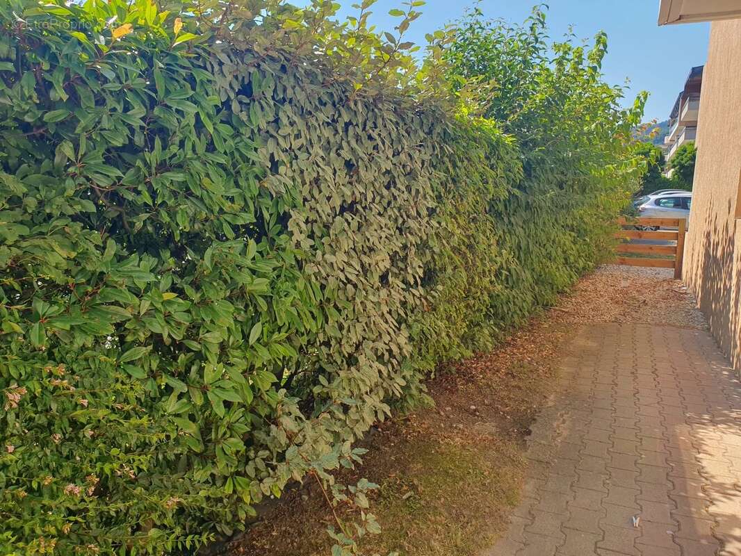 Appartement à SALLANCHES