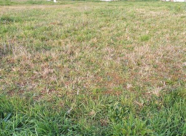 Terrain à LA PLAINE-SUR-MER