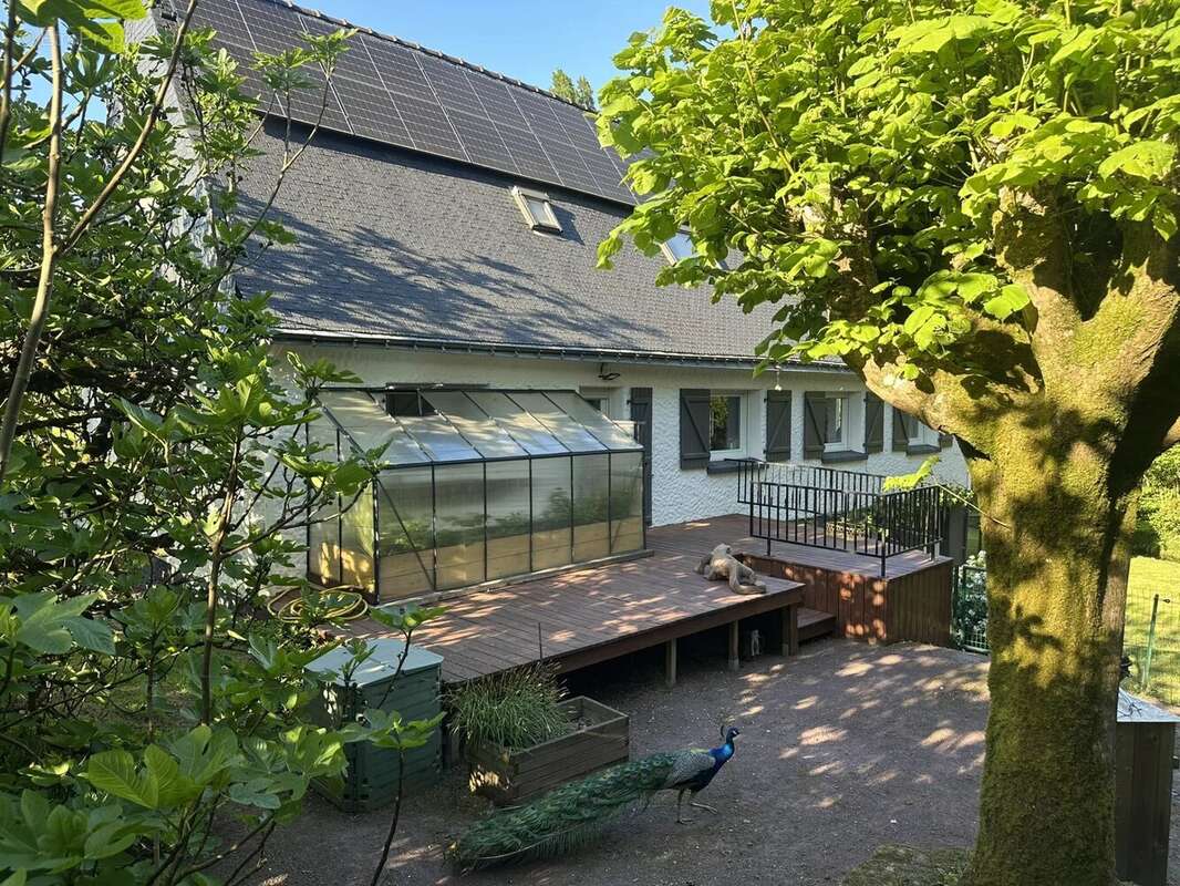 Maison à SAINT-JEAN-BREVELAY