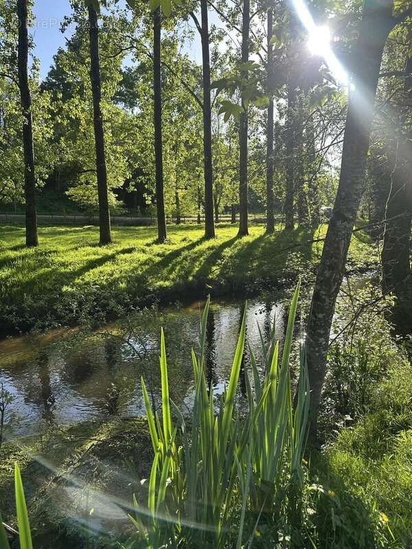 Maison à SAINT-JEAN-BREVELAY