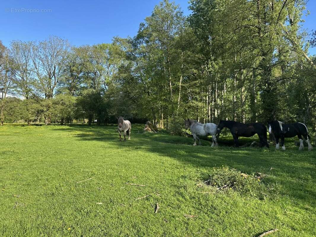 Maison à SAINT-JEAN-BREVELAY