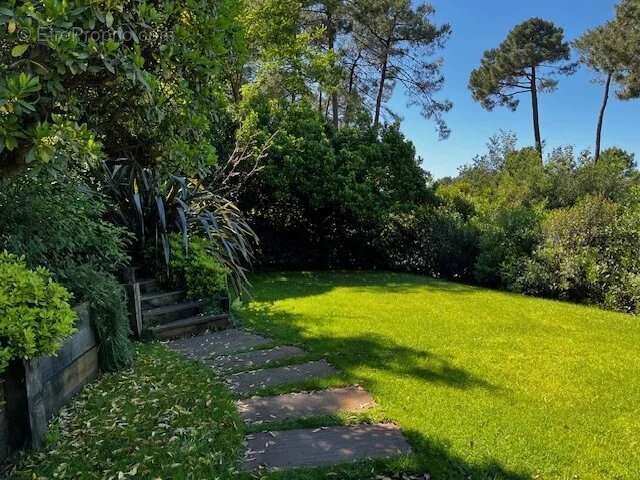 Maison à LE BOUSCAT