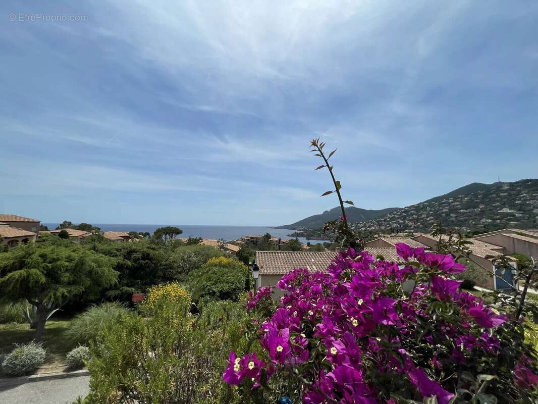 Appartement à THEOULE-SUR-MER
