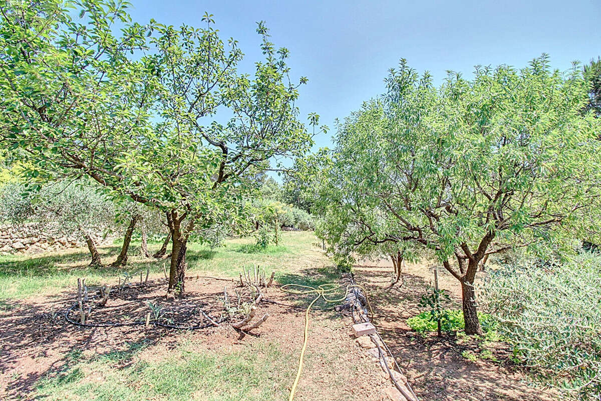 Maison à DRAGUIGNAN