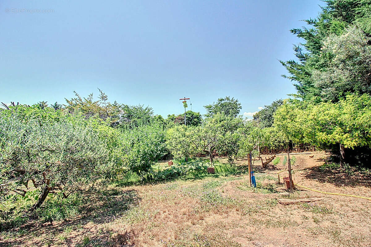 Maison à DRAGUIGNAN
