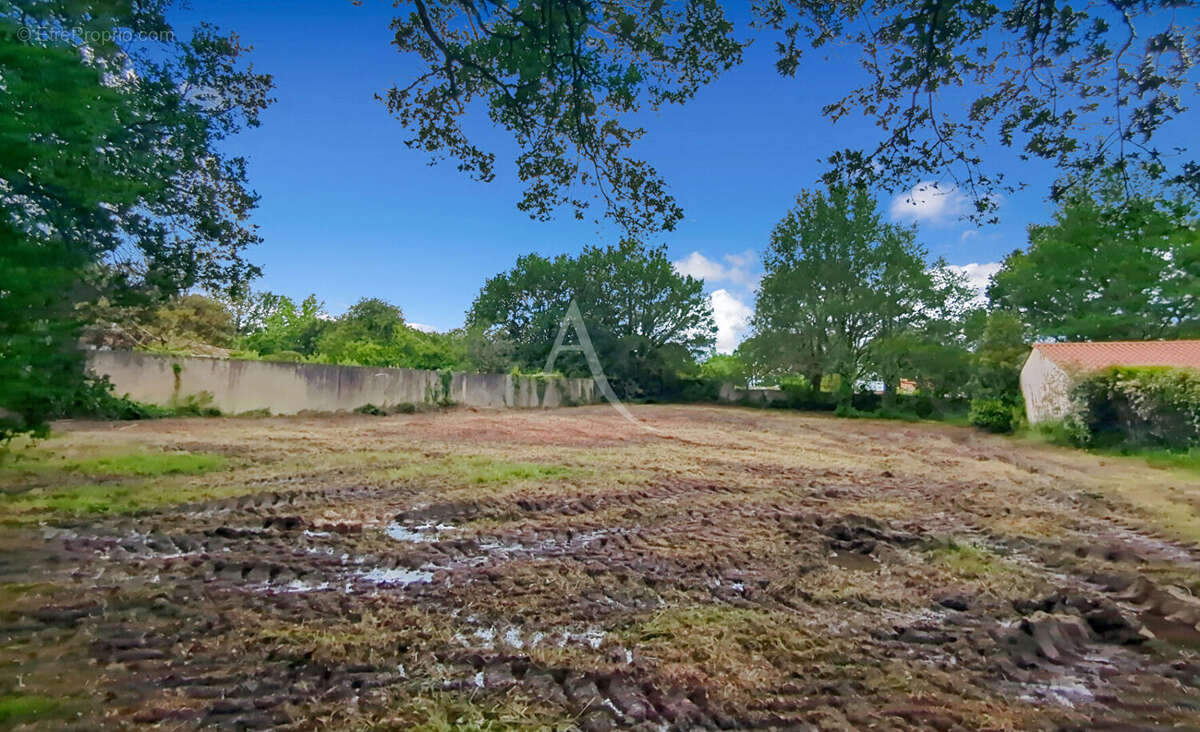 Terrain à LA GARNACHE