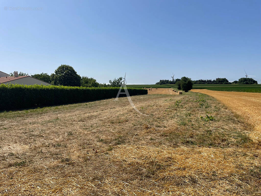 Terrain à LE BERNARD