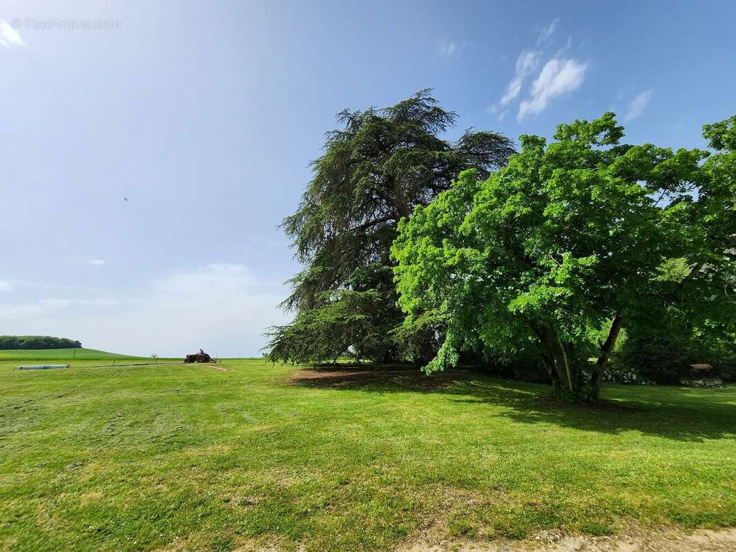 Maison à CASTERA-VERDUZAN