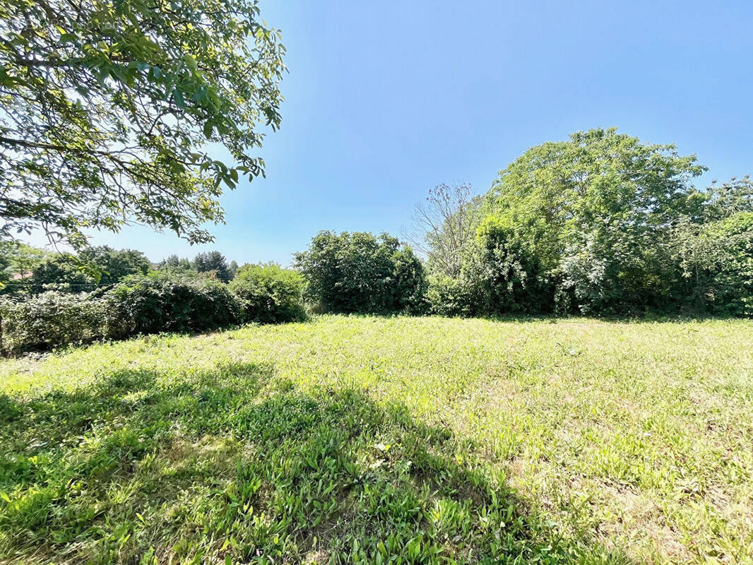 Terrain à LAIZE-LA-VILLE