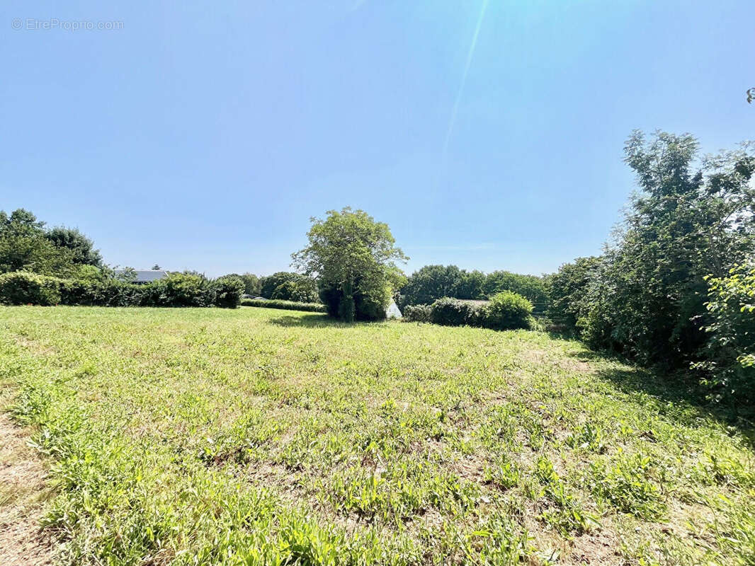 Terrain à LAIZE-LA-VILLE