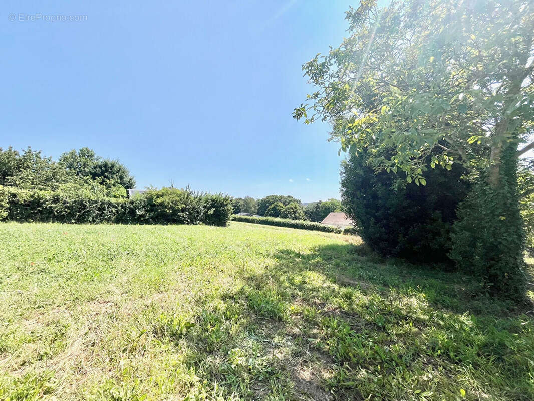 Terrain à LAIZE-LA-VILLE