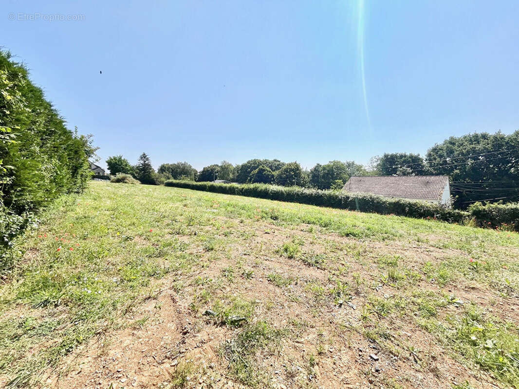 Terrain à LAIZE-LA-VILLE