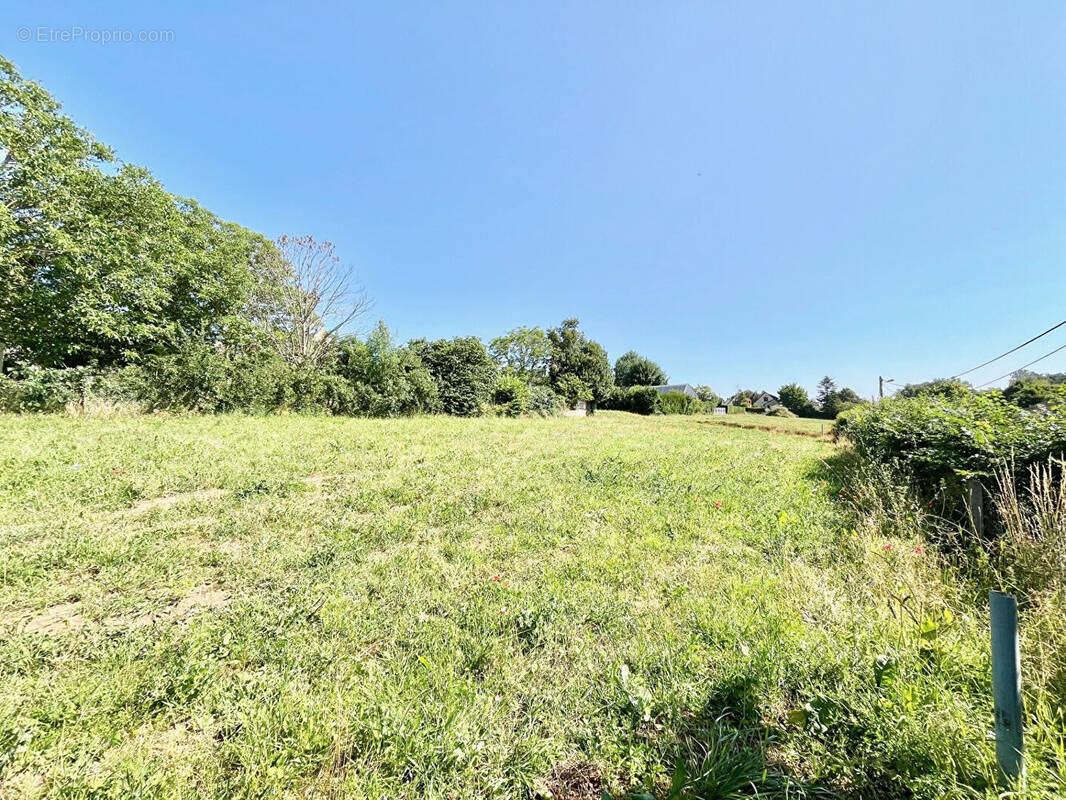Terrain à LAIZE-LA-VILLE