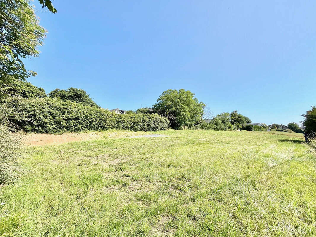 Terrain à LAIZE-LA-VILLE