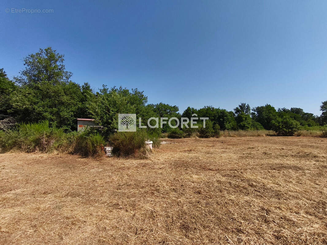 Terrain à MAUREILLAS-LAS-ILLAS