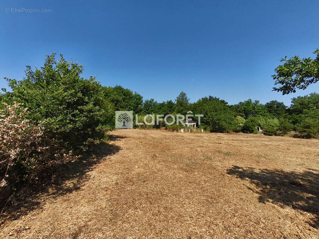 Terrain à MAUREILLAS-LAS-ILLAS