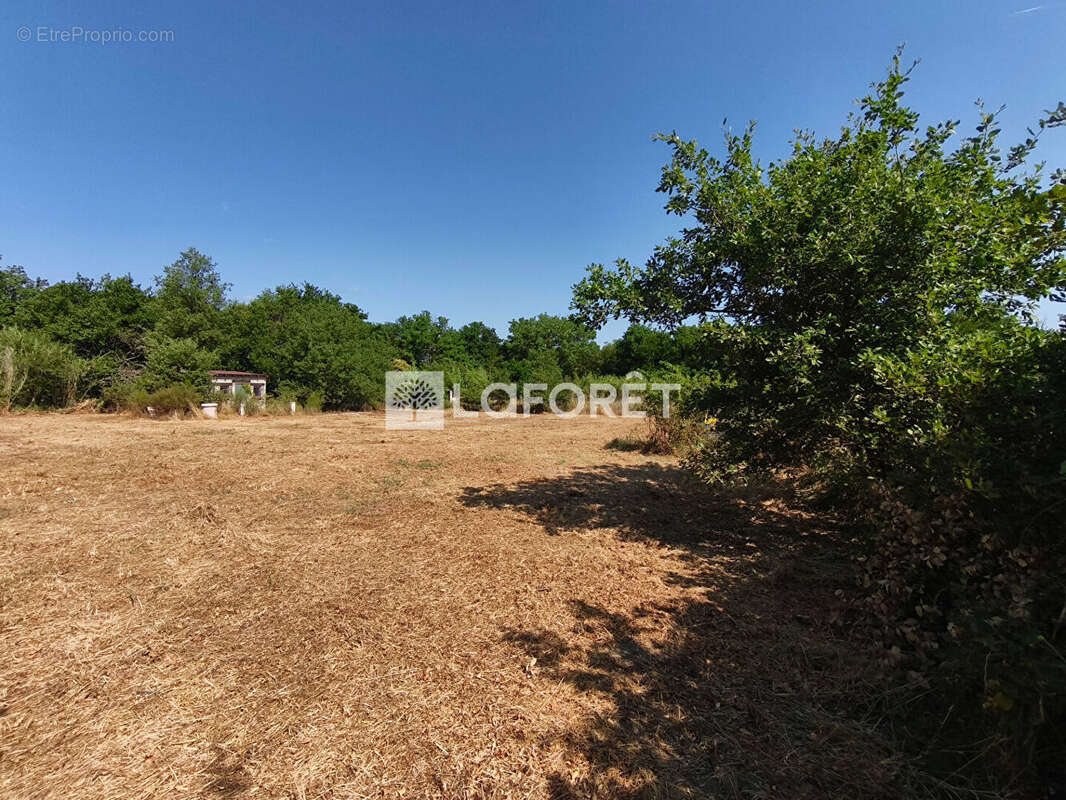 Terrain à MAUREILLAS-LAS-ILLAS