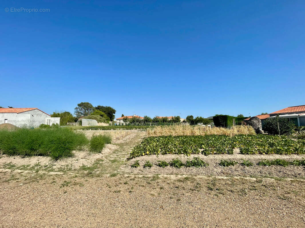 Terrain à LES SABLES-D&#039;OLONNE